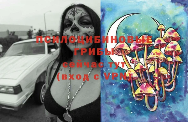 а пвп мука Гатчина