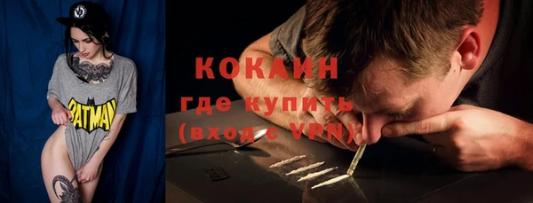 ECSTASY Пересвет