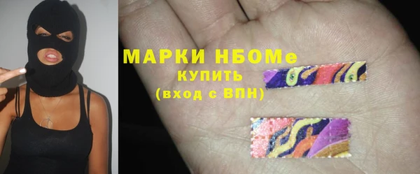 ECSTASY Пересвет