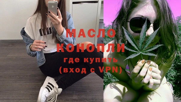 ECSTASY Пересвет