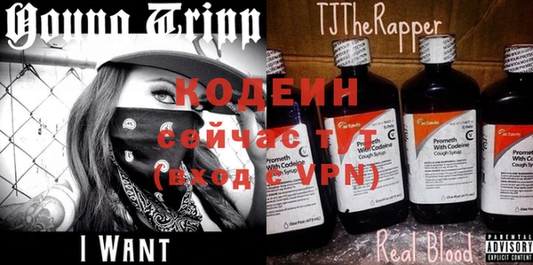 прущий лед Осташков