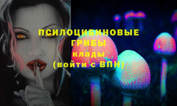 ECSTASY Пересвет