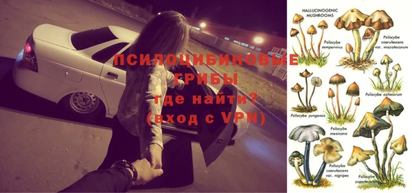 прущий лед Осинники
