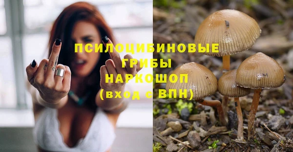 стаф Остров