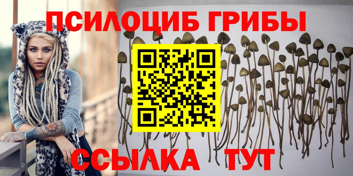 Лангепас  Галлюциногенные грибы Psilocybine cubensis  Галлюциногенные грибы мухоморы  Вход с VPN 